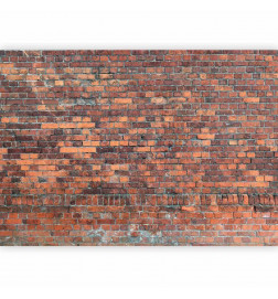 Wall Mural - Vintage Wall (Red Brick)