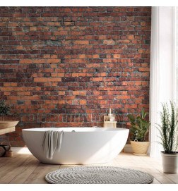 Mural de parede - Vintage Wall (Red Brick)