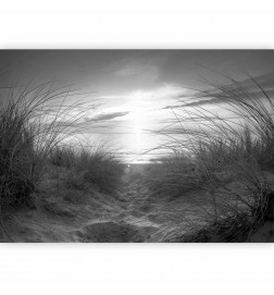 Wall Mural - beach (black and white)