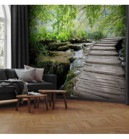 Fototapeta - Forest path