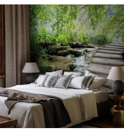 Wall Mural - Forest path