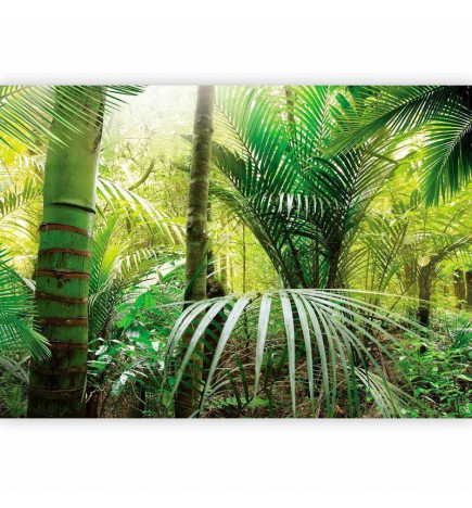 Wall Mural - Green alley