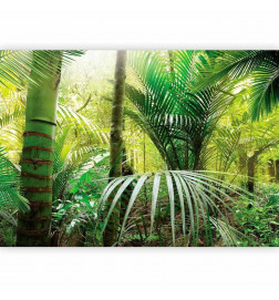 Fotobehang - Green alley