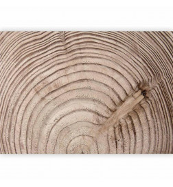 Wall Mural - Wood grain