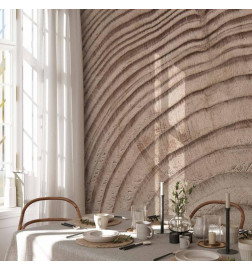 Papier peint - Wood grain