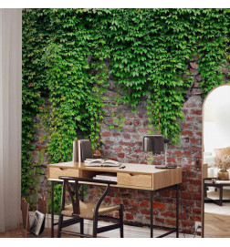 Wall Mural - Brick and ivy