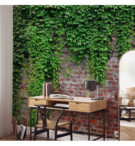 Fototapeet - Brick and ivy