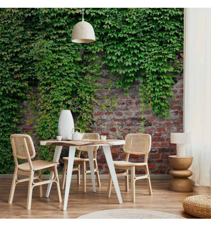 Mural de parede - Brick and ivy