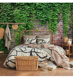 Fototapete - Brick and ivy