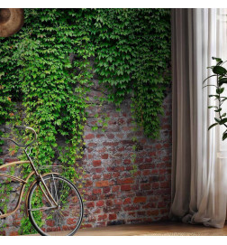 Foto tapete - Brick and ivy
