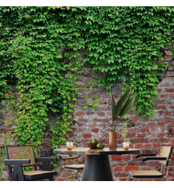 Papier peint - Brick and ivy