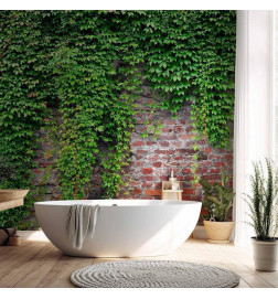 Fotobehang - Brick and ivy