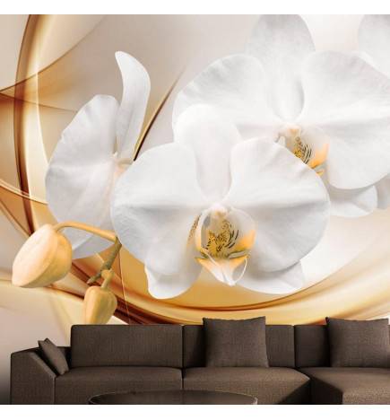 Fotomurale con le orchidee bianche e glamour - arredalacasa