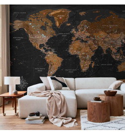 Fotomural - World: Stylish Map