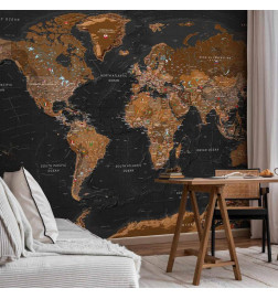 Fototapetti - World: Stylish Map