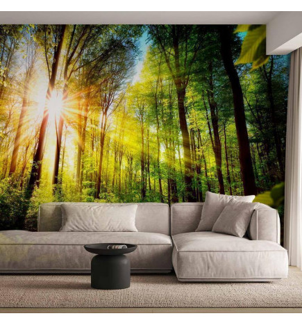 Fototapeet - Forest Hideout