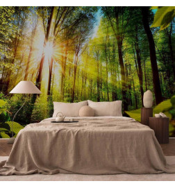 Wall Mural - Forest Hideout