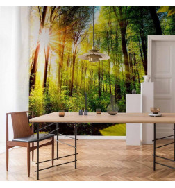 Fotomural - Forest Hideout