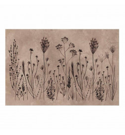 Juliste - Field Flowers - black plants on a lime wash background