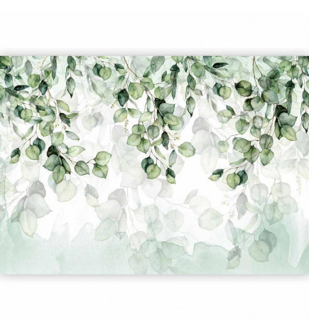 Carta da parati - Leaves Lightness
