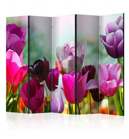 5-teiliges Paravent - Beautiful Tulips II [Room Dividers]