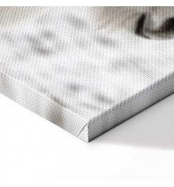 Quadro - Horse Mane (1 Part) Vertical