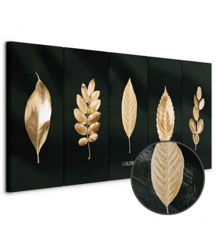 Taulu - Noble Collection (5 Parts) Narrow