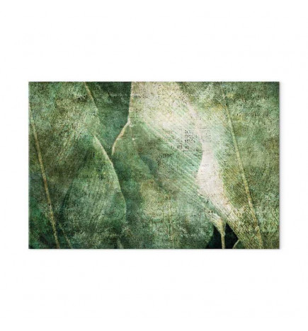 Taulu - Green Revolution (1 Part) Wide