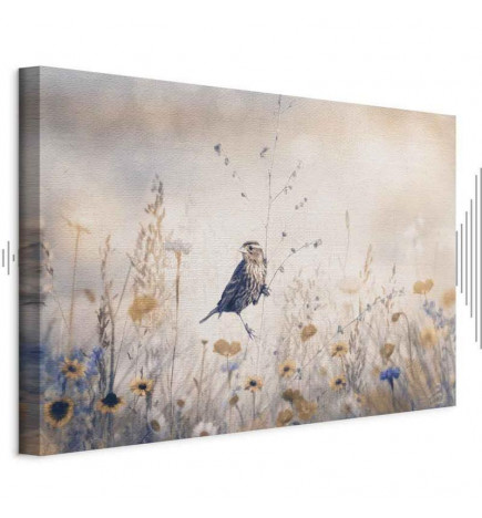 Tableau - August Melody