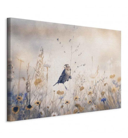 Tableau - August Melody