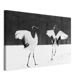 Leinwandbild - Dancing Cranes (1 Part) Wide