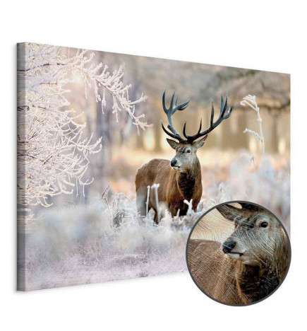 Taulu - Deer in the Cold