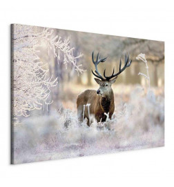 Slika - Deer in the Cold