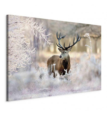 Slika - Deer in the Cold