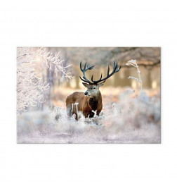 Slika - Deer in the Cold