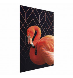 Poster - Flamingo Solo