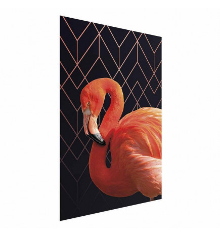 Plakat - Flamingo Solo