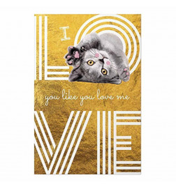 Plakatas - I Love You Like You Love Me