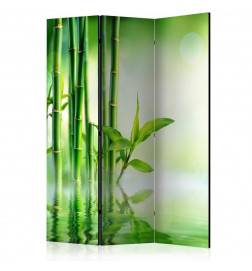 3-teiliges Paravent - Green Bamboo [Room Dividers]