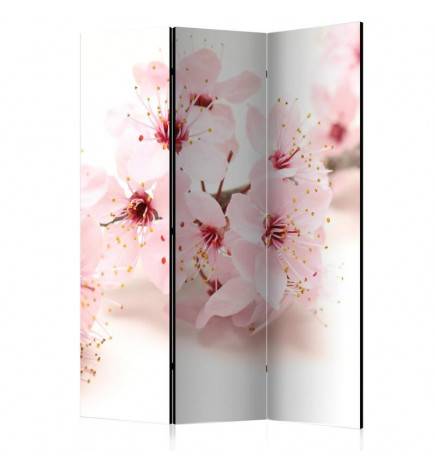 124,00 € Room Divider - Cherry Blossom [Room Dividers]