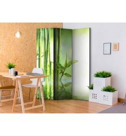 3-teiliges Paravent - Green Bamboo [Room Dividers]