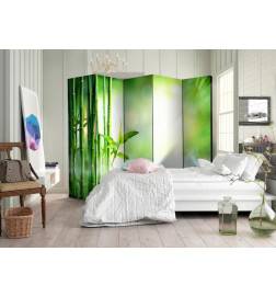 5-teiliges Paravent - Green Bamboo II [Room Dividers]