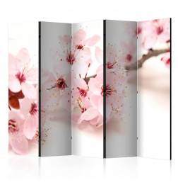 172,00 €Biombo - Cherry Blossom II [Room Dividers]