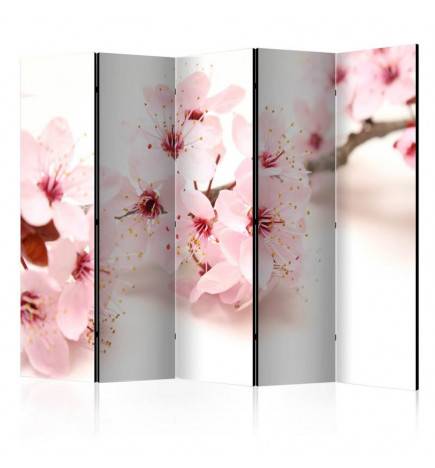 5-teiliges Paravent -  Cherry Blossom II [Room Dividers]