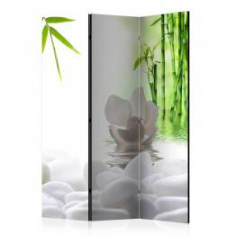 124,00 € 3-teiliges Paravent - Lake of Silence [Room Dividers]