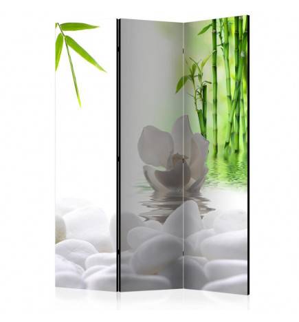 124,00 € 3-teiliges Paravent - Lake of Silence [Room Dividers]