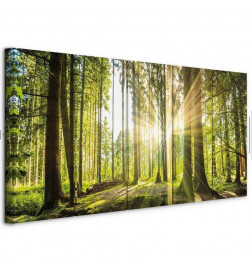 Canvas Print - Sunlight
