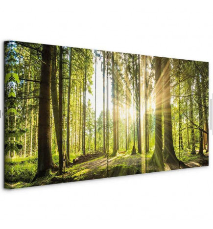 Canvas Print - Sunlight