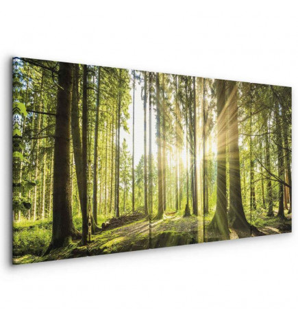 Canvas Print - Sunlight