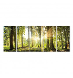 Leinwandbild - Sunlight